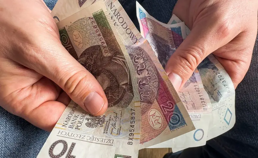 Kuroniówka po studiach? Sprawdź warunki i wsparcie z urzędu pracy