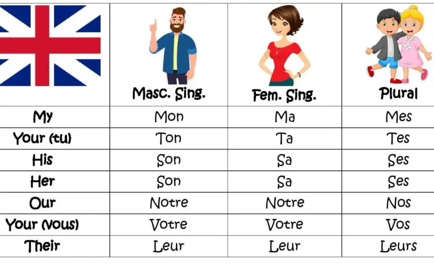 Francuskie przymiotniki dzierżawcze - Opanuj "mon, ma, mes"!