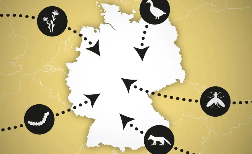 Provinzen in Deutschland - was der Begriff heute wirklich meint