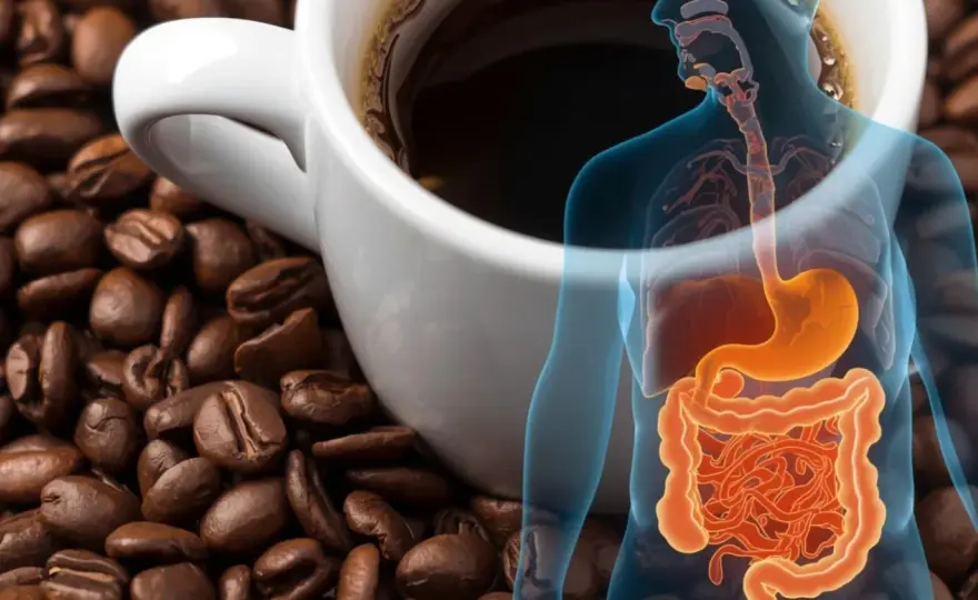 Magenschonender Kaffee - Dein Guide für sanften Genuss