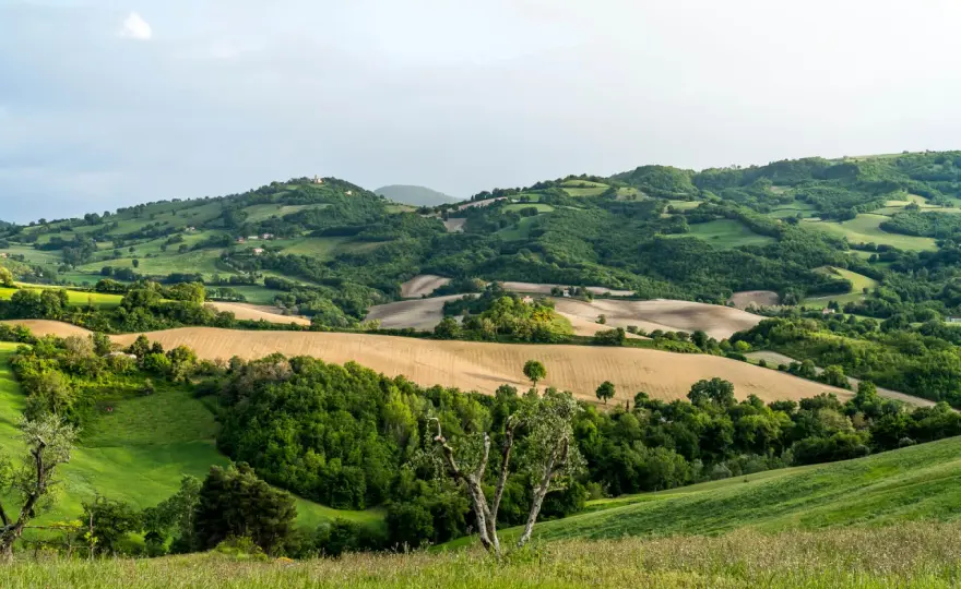 Weinregion Marken - Entdecke Italiens verborgene Schätze