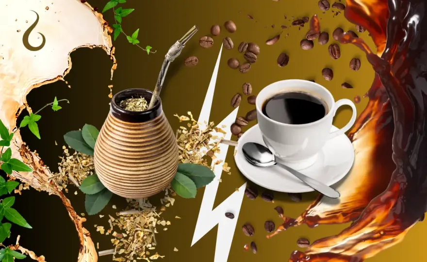 Yerba mate: Ile naprawdę zawiera kofeiny? Poznajemy fakty i mity