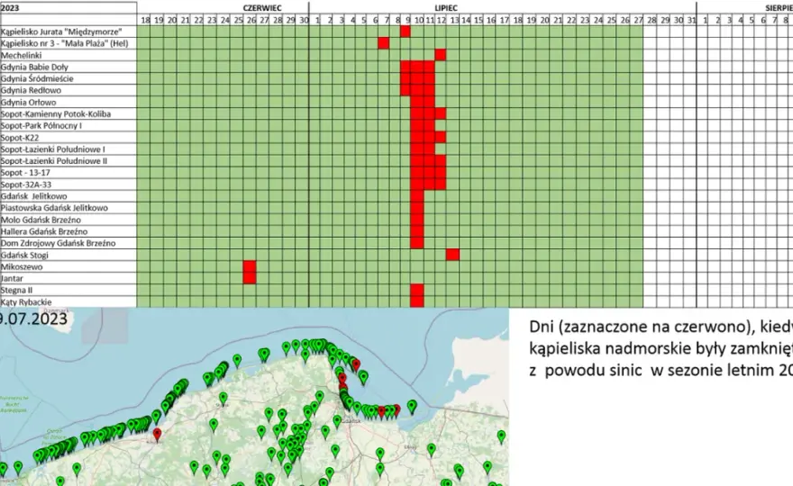 Bałtyk: Jaka woda? Zasolenie, temperatura, sinice pełna prawda