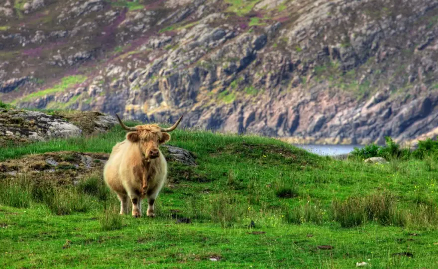 North Coast 500 - Guía para un viaje inolvidable por Escocia