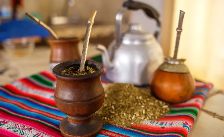 Yaguar yerba mate - Którą wybrać i jak parzyć?