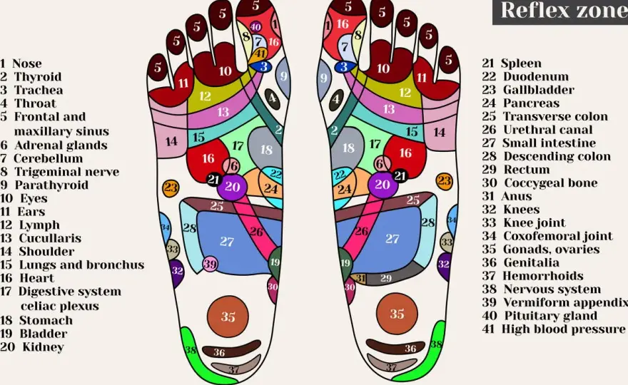 Riflessologia Piede Sinistro - Mappa, Benefici e Limiti