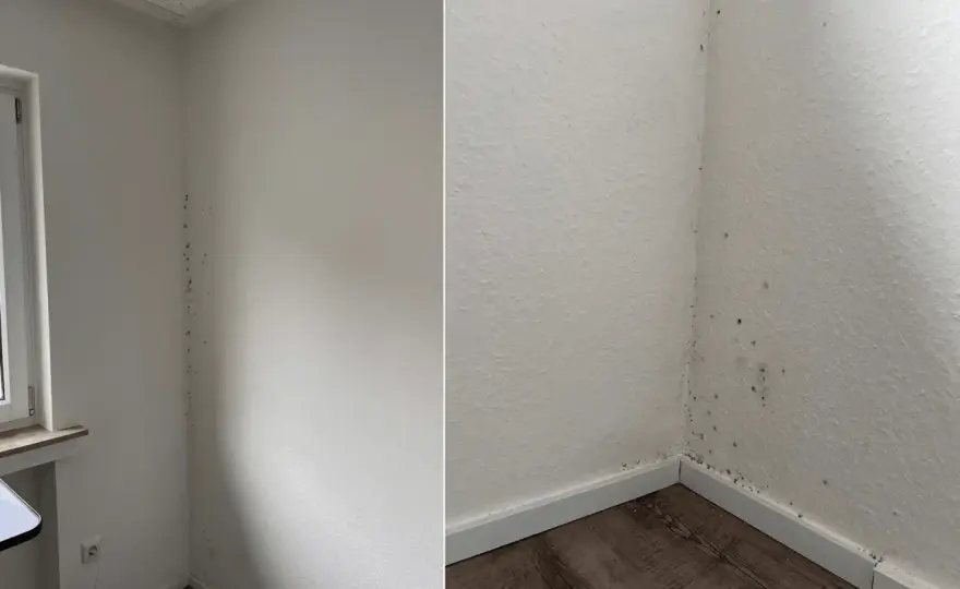 Schimmel in Ecken entfernen - Ursachen & dauerhafte Lösung