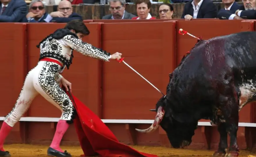Reglas del toreo - ¿Qué hay detrás de la normativa taurina?