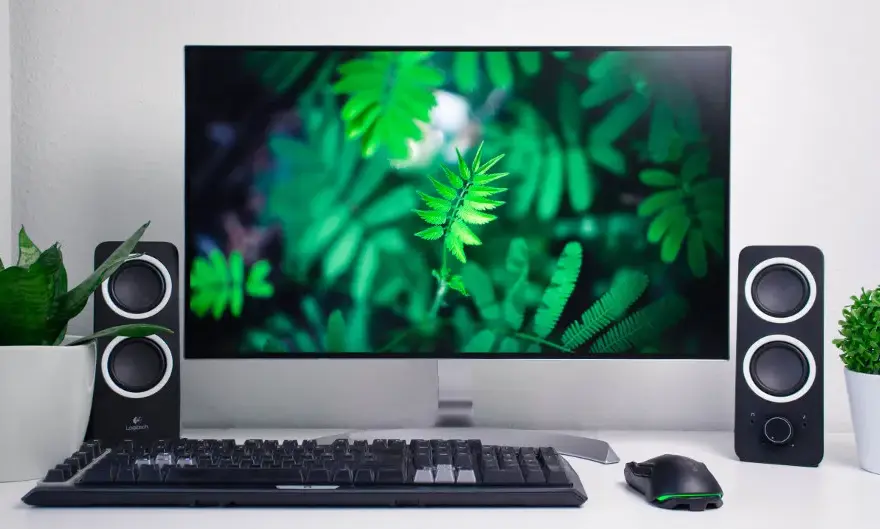 Jaki monitor dla grafika - wybierz idealny model dla swojej pracy