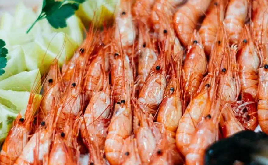 Diferencia entre gambas y camarones: lo que no sabías sobre ellos