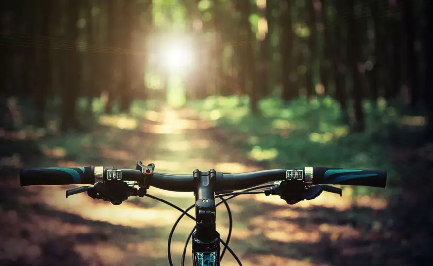 Ile kalorii spalisz na rowerze podczas jazdy 40 km? Sprawdź!