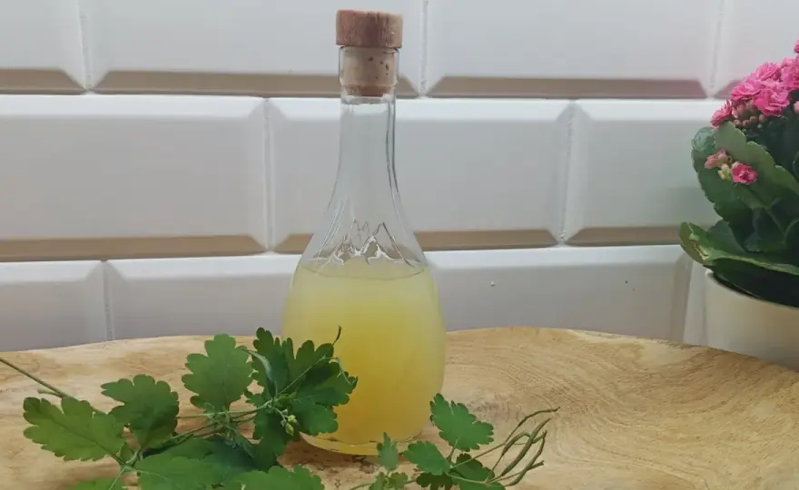 Balsam Bołotowa na co pomaga: Odkryj jego niezwykłe właściwości zdrowotne