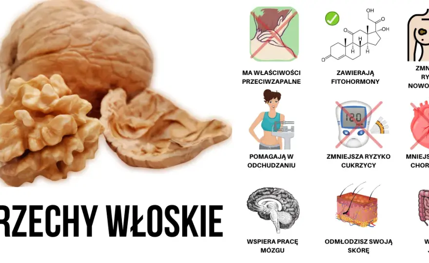 Orzechy włoskie są zdrowsze niż myślisz: 7 kluczowych korzyści dla zdrowia