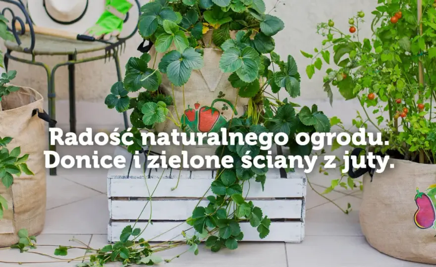 Jak zrobić nawadniacz do kwiatów z butelki i oszczędzić czas na podlewaniu