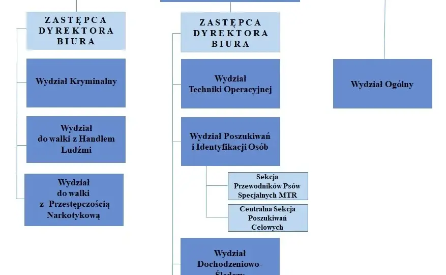 Kompletny przewodnik po wydziałach w policji: struktura i zadania komórek