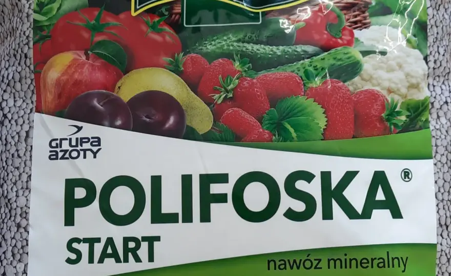 Kiedy stosować Polifoskę w ogrodzie, aby uniknąć błędów w nawożeniu roślin?