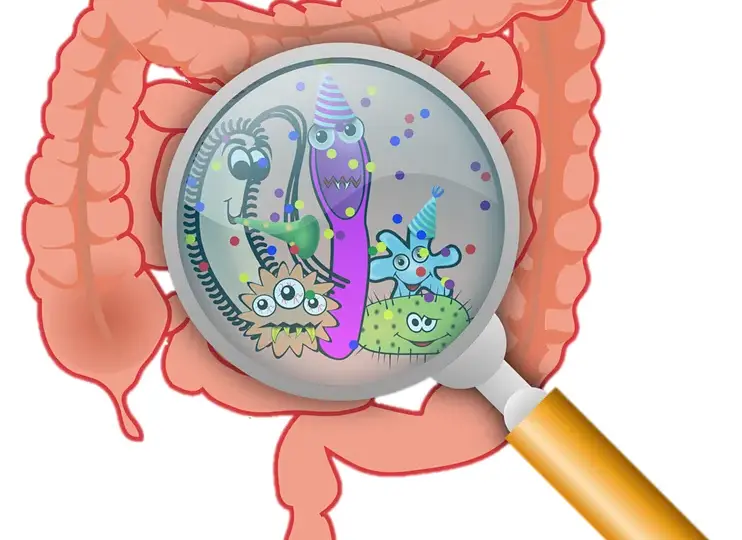 Jak mikroflora jelitowa wpływa na Twoje zdrowie? Dowiedz się