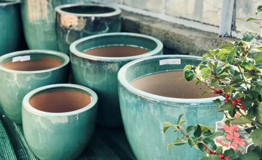 Jak prawidłowo wyrzucać doniczki ceramiczne - poradnik recyklingu