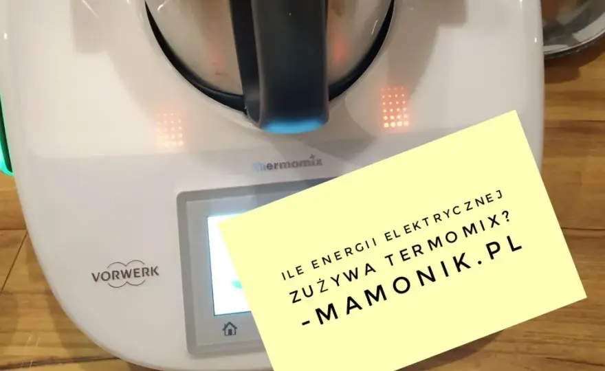 Czy thermomix pobiera dużo prądu? Sprawdź koszty energii!