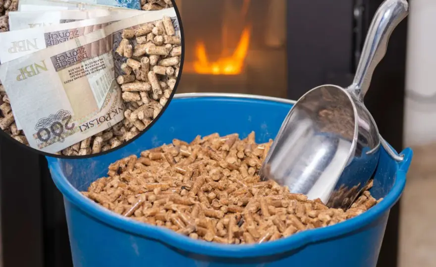 Ile kosztuje tona pelletu? Sprawdź aktualne ceny i porównania