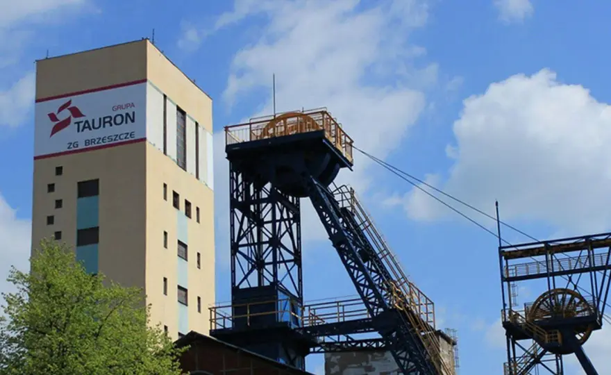Jak kupić ekogroszek Tauron - najlepsze opcje i porady na zakupy