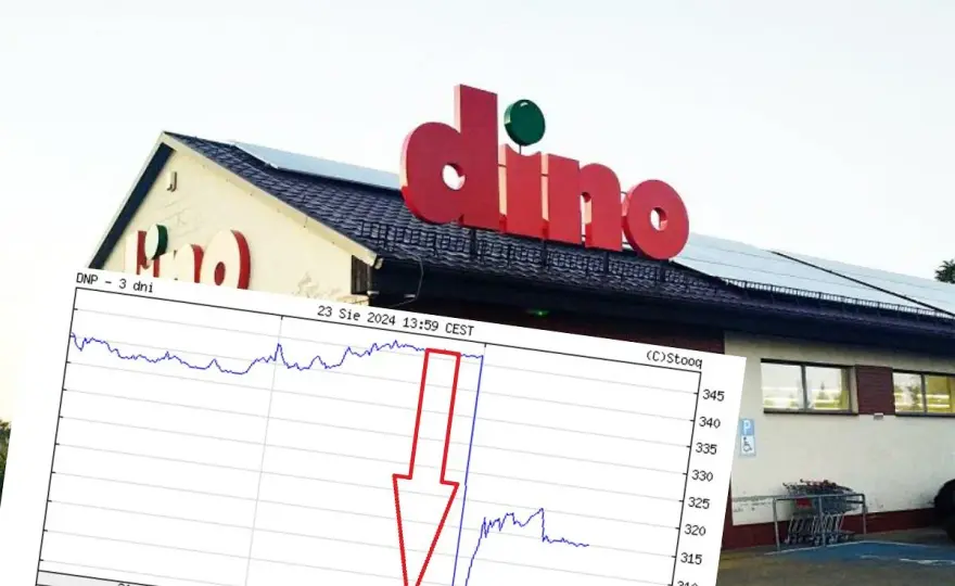 Dino Relacje Inwestorskie: Klucz do Sukcesu na Giełdzie
