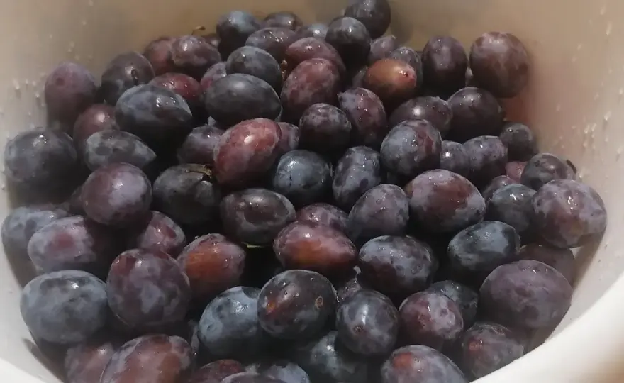 Jak mrozić śliwki, aby nie straciły smaku i aromatu?