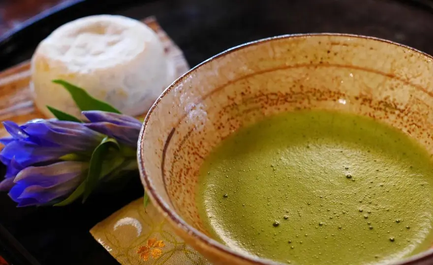 Jak zrobić herbatę matcha w domu – prosty przepis i porady dla początkujących