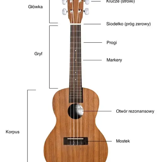 Jakie ukulele dla początkujących: wybierz najlepszy model bez błędów