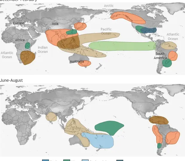 Zjawisko El Niño - poznaj największe zagrożenie dla światowego klimatu