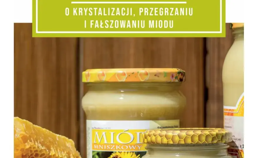 Jak rozpoznać dobry miód i uniknąć zakupu podróbki – praktyczne porady