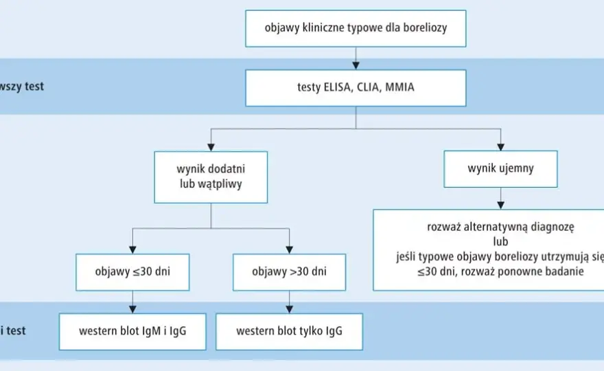 Metoda CLIA: jak działa i dlaczego jest tak ważna w diagnostyce?