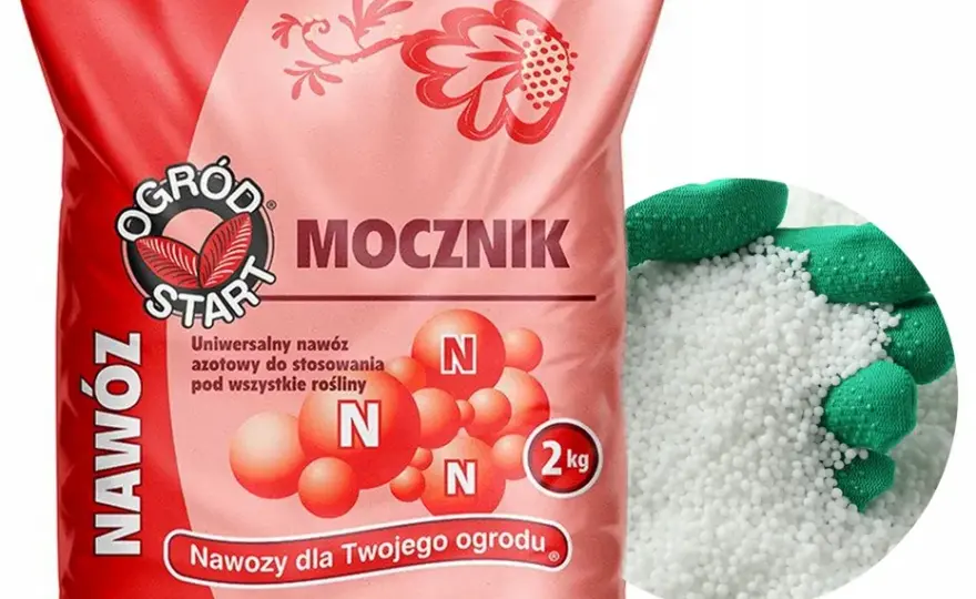 Mocznik na trawnik: jakie korzyści daje i jak uniknąć błędów w nawożeniu