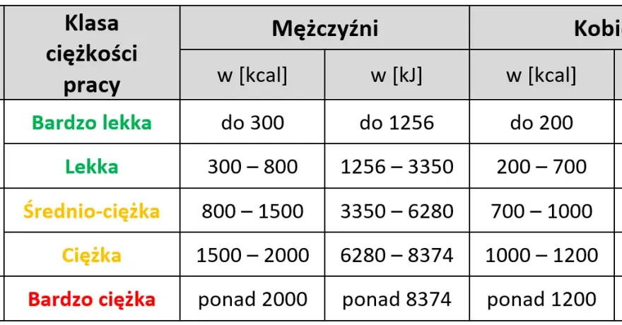 Jak obliczyć wydatek energetyczny i skutecznie kontrolować wagę ciała
