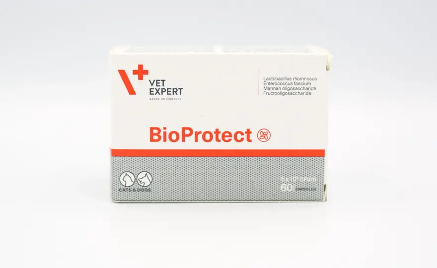 Bioprotect dla psa: skuteczne dawkowanie i zastosowanie probiotyku