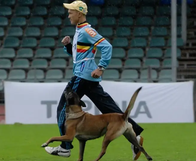 IPO sport: jak zacząć treningi z psem i osiągnąć sukces w zawodach