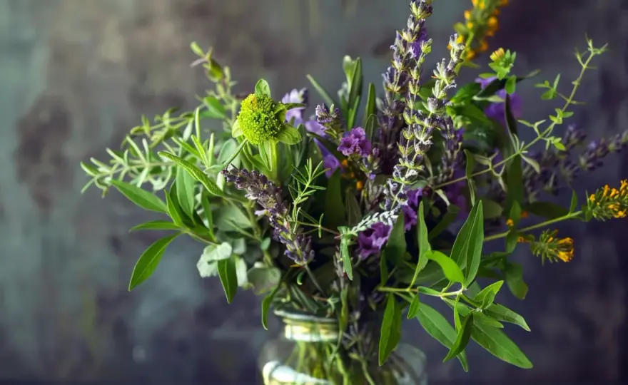 Jak stworzyć piękny i aromatyczny bukiet z ziół? Poradnik DIY