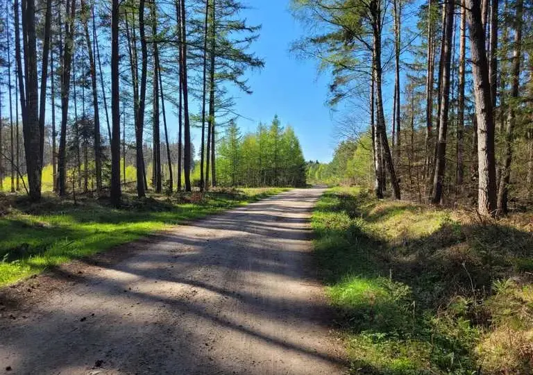 Trasy rowerowe Koszalin: Odkryj najlepsze szlaki i uniknij nudy
