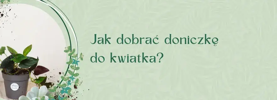 Jak sprawdzić rozmiar doniczki, aby uniknąć błędów przy sadzeniu