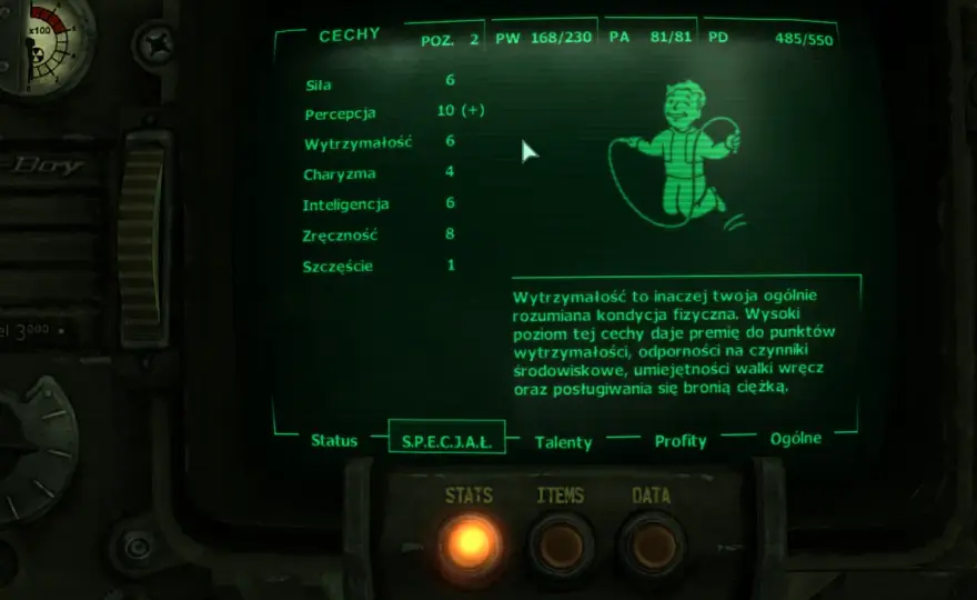 Spolszczenie Fallout 3: Jak bez problemu dodać polski dubbing do kultowej gry