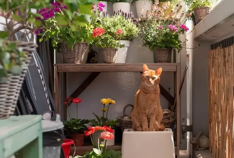 Jak urządzić mały balkon w bloku, by stał się przytulną oazą?