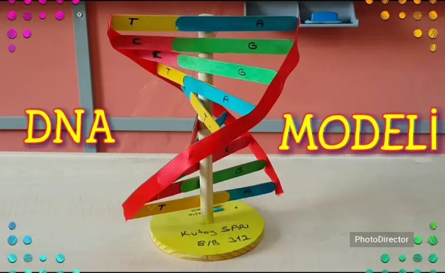 Jak zrobić DNA na biologie - proste kroki do udanego modelu