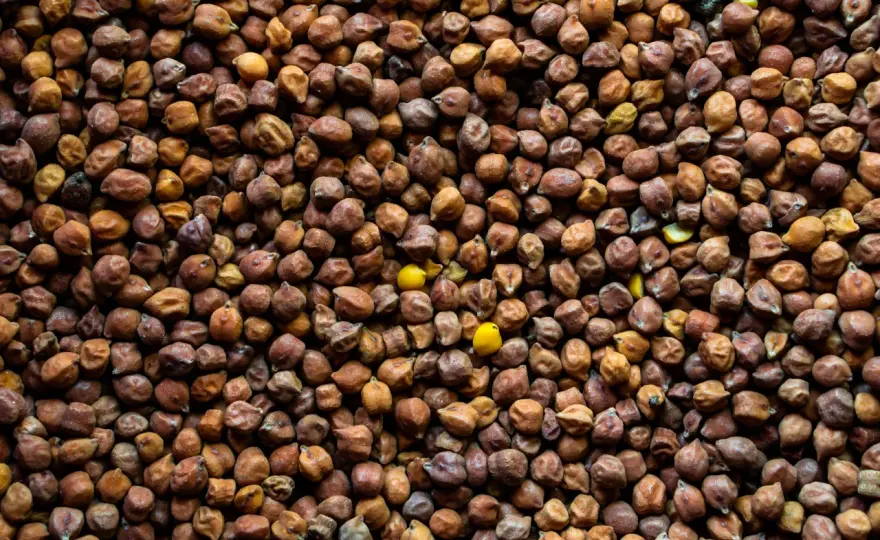 Grain na gram: precyzyjna konwersja jednostek masy dla Ciebie