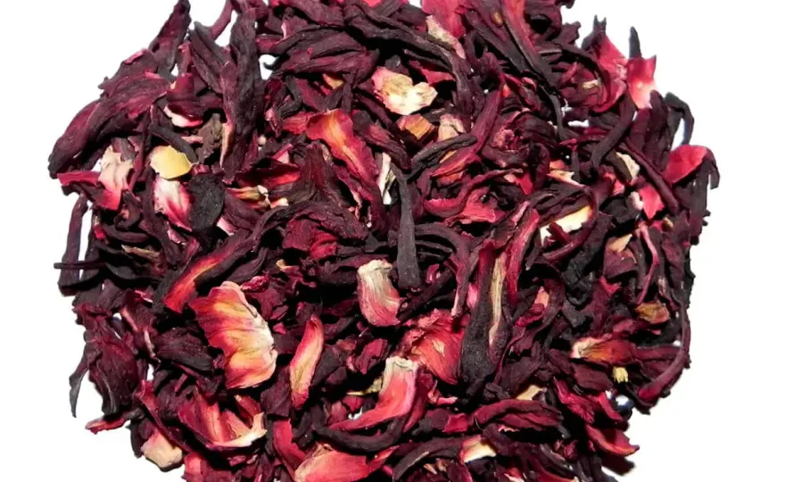 Jaki hibiskus wybrać na aromatyczną herbatę - wszystko co musisz wiedzieć