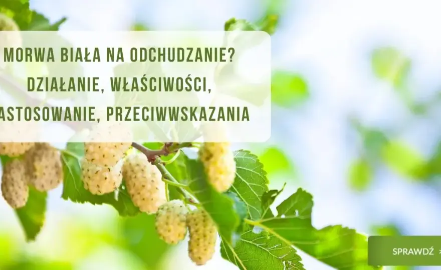 Prawidłowe dawkowanie herbaty z morwy białej - skuteczna kuracja w domu