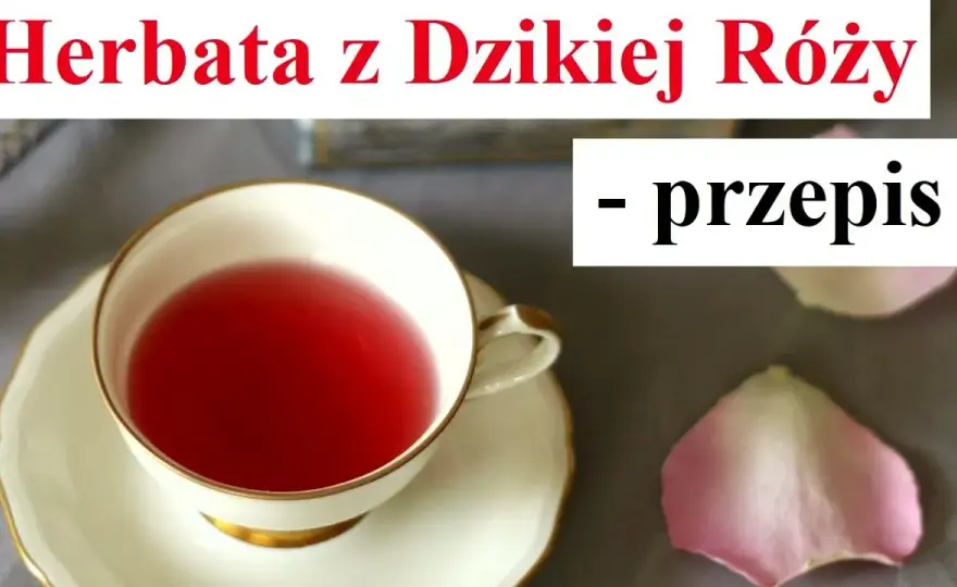 Jak zrobić herbatę z dzikiej róży: prosty przepis krok po kroku