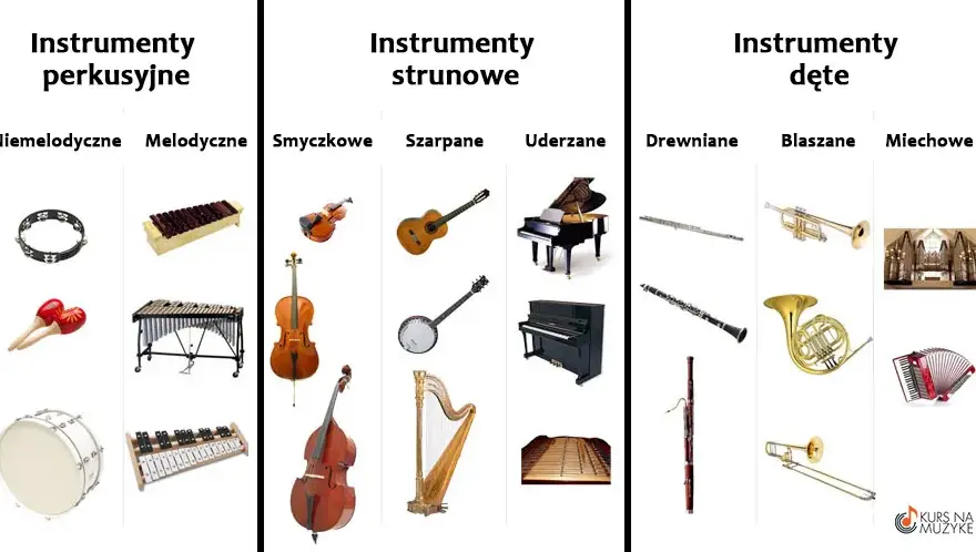 Podział instrumentów muzycznych i rodzaje instrumentów