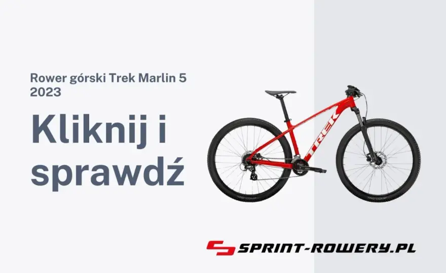 Ile kosztuje rower? Ceny modeli i przydatne wskazówki przy zakupie