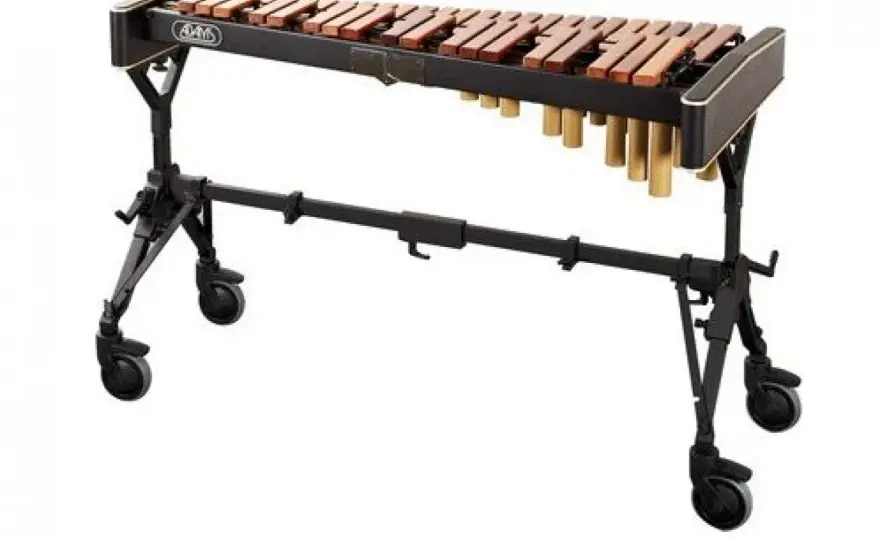  Ksylofon - jak grać, historia, rodzaje i ciekawostki tego niezwykłego instrumentu