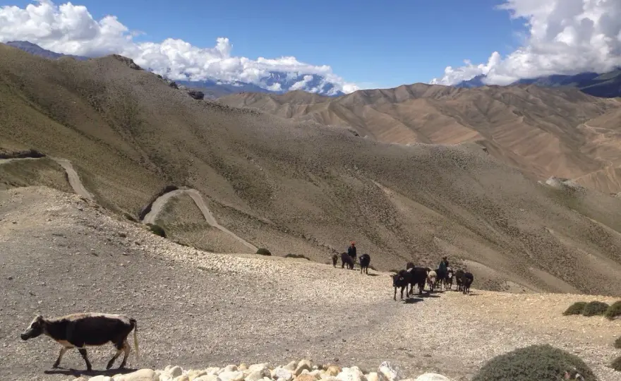 Nepal kiedy jechać: najlepszy czas na niezapomnianą podróż